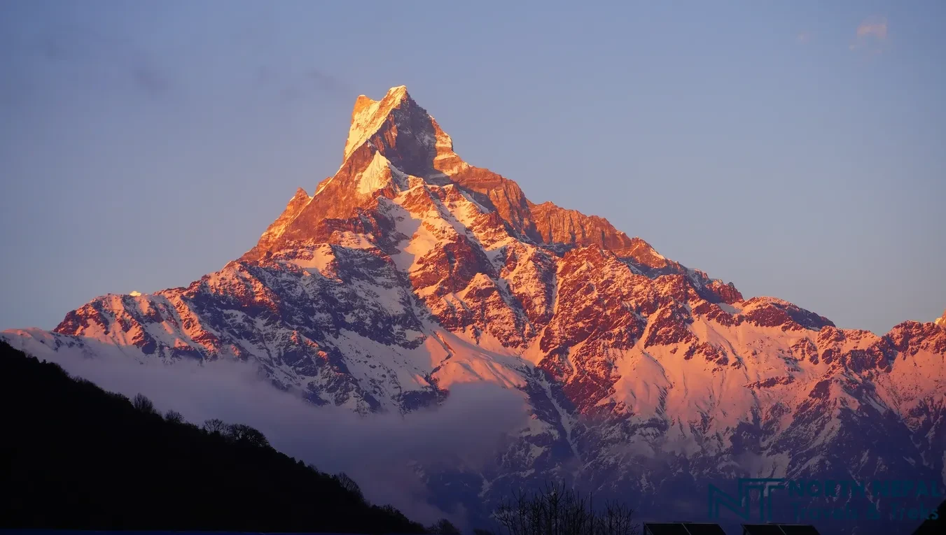 Mardi Himal Trek – 7 Days, 2026